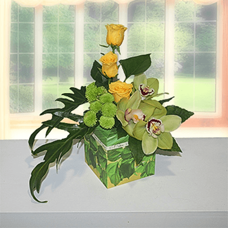 Produto: Verde Natura